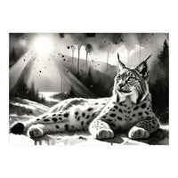Lynx Resting In Sunlight (Print Only)