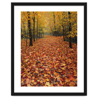 Ethereal Autumn Forest Path