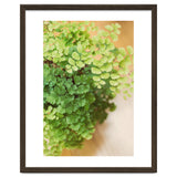 Maidenhair Queen thumbnail