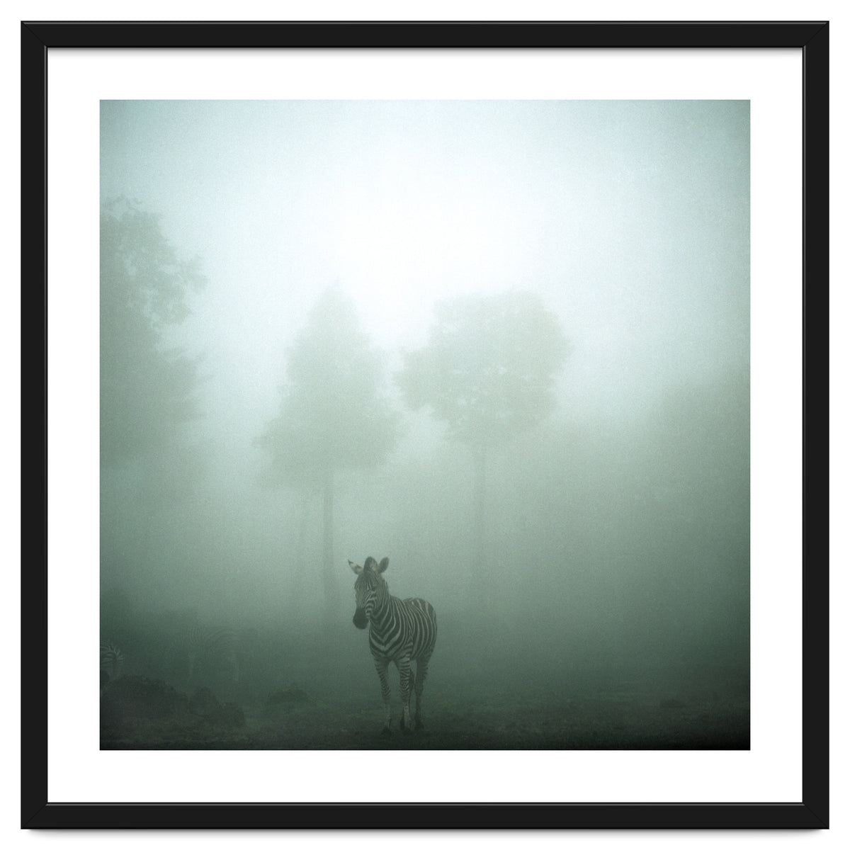 Silence of breath - 01