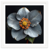 Hellebore | Silver Magic thumbnail