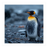 King Penguin Standing In The Rain (Print Only) thumbnail