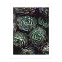 Succulent Plant Ii (Print Only)