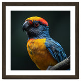 Close Up Colorful Parrot Perched On A Branch thumbnail