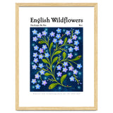 English Wildflowers | Forget-Me-Not thumbnail