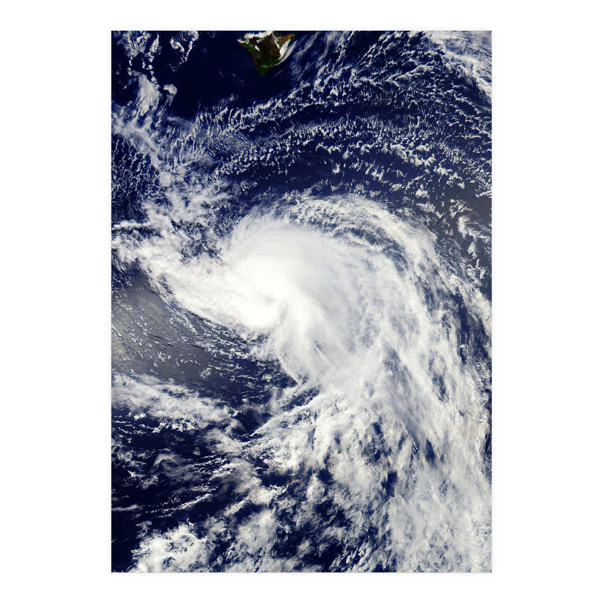 Sea Of Hearts (Print Only)