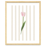 Single Tulip thumbnail