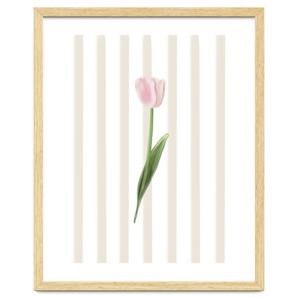 Single Tulip