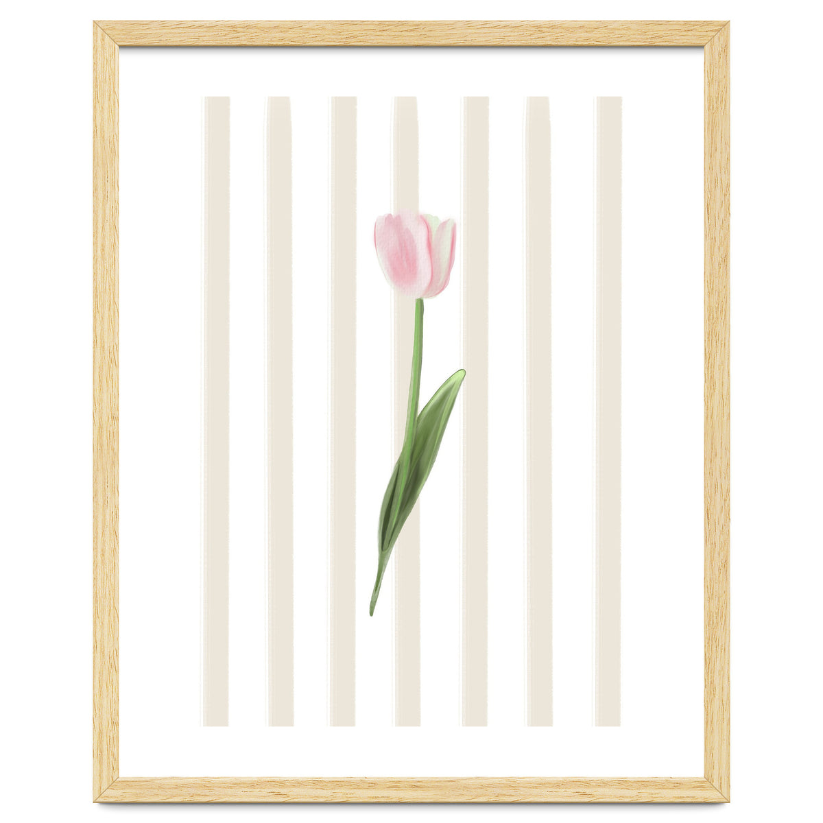 Single Tulip