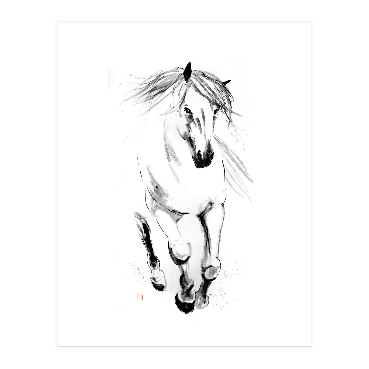 Runninh Ghorse In Water (Print Only)