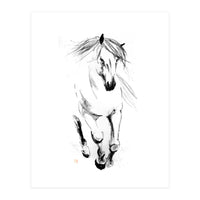 Runninh Ghorse In Water (Print Only)