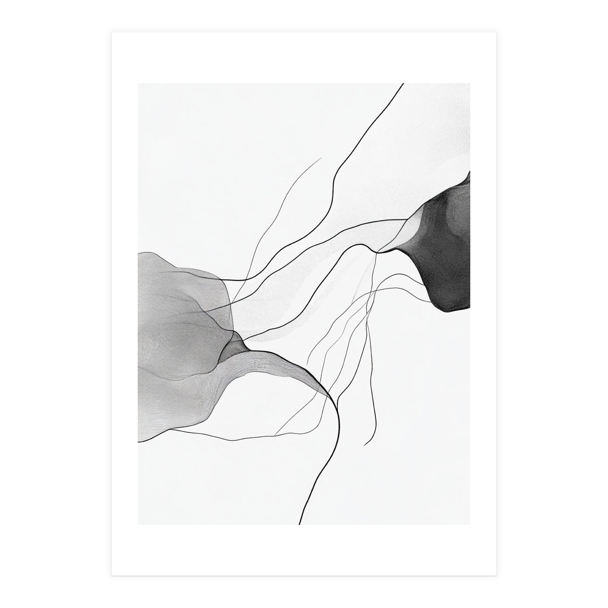 Abstract Black And White Flowing Lines And Shapes On White Background (Print Only)