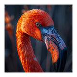 Close Up Flamingo Head Vibrant Orange Plumage (Print Only) thumbnail