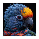 Close Up Vibrant Parrot Eye  (Print Only) thumbnail