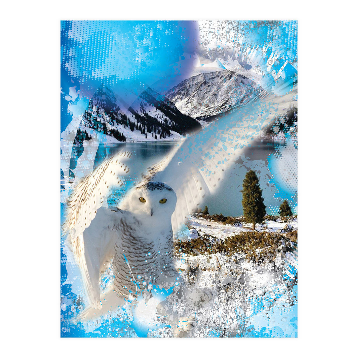Snow Owl (Print Only)