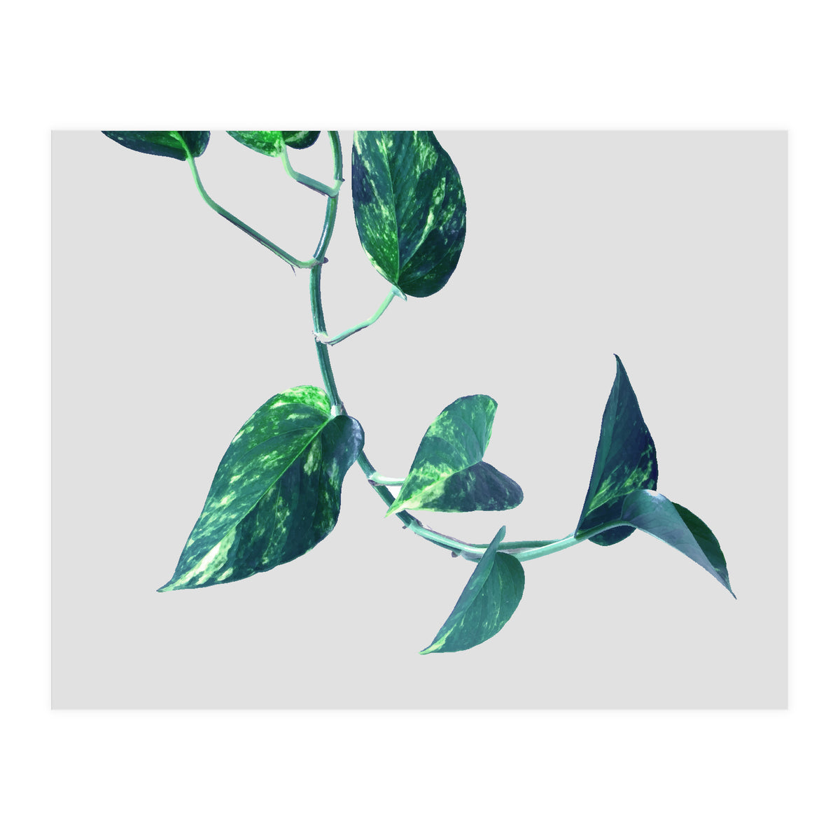 Projection & Emotion (Print Only)