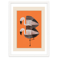 Tangerine Flamingos