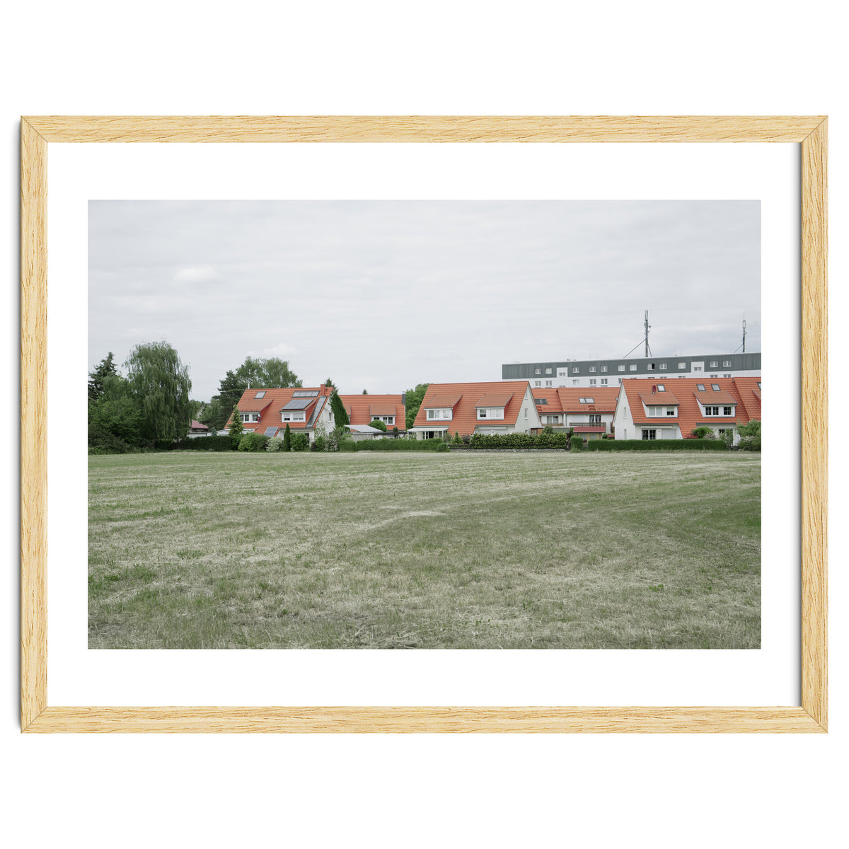 Red roof houses in the green field