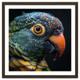 Close Up Of A Colorful Parrot's Face thumbnail