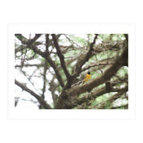 Mini sun (Print Only) thumbnail