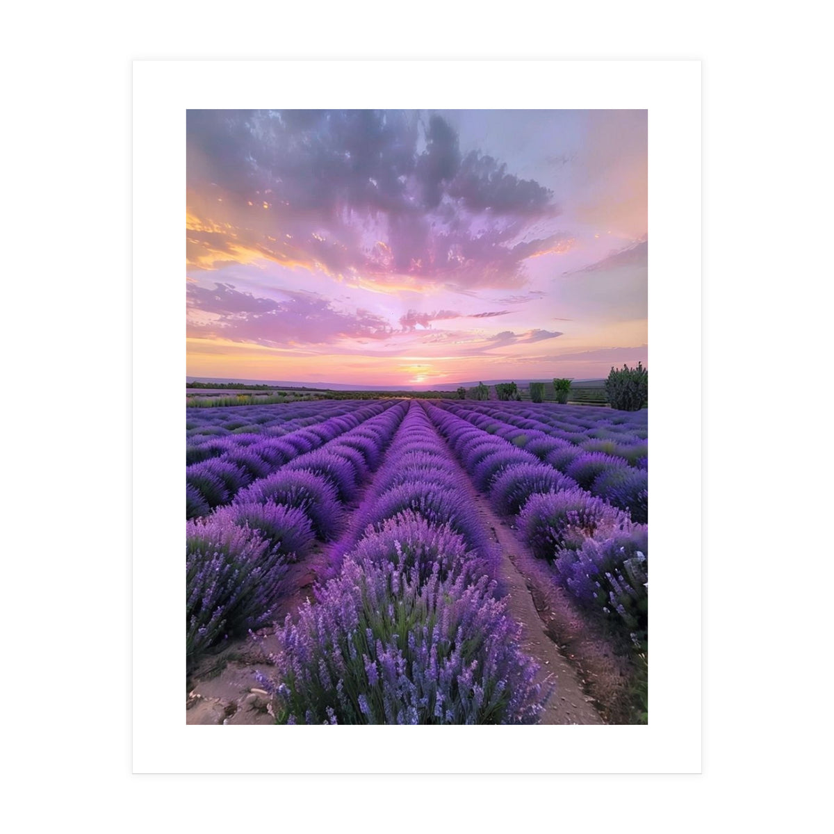 Infinite Horizons (Print Only)