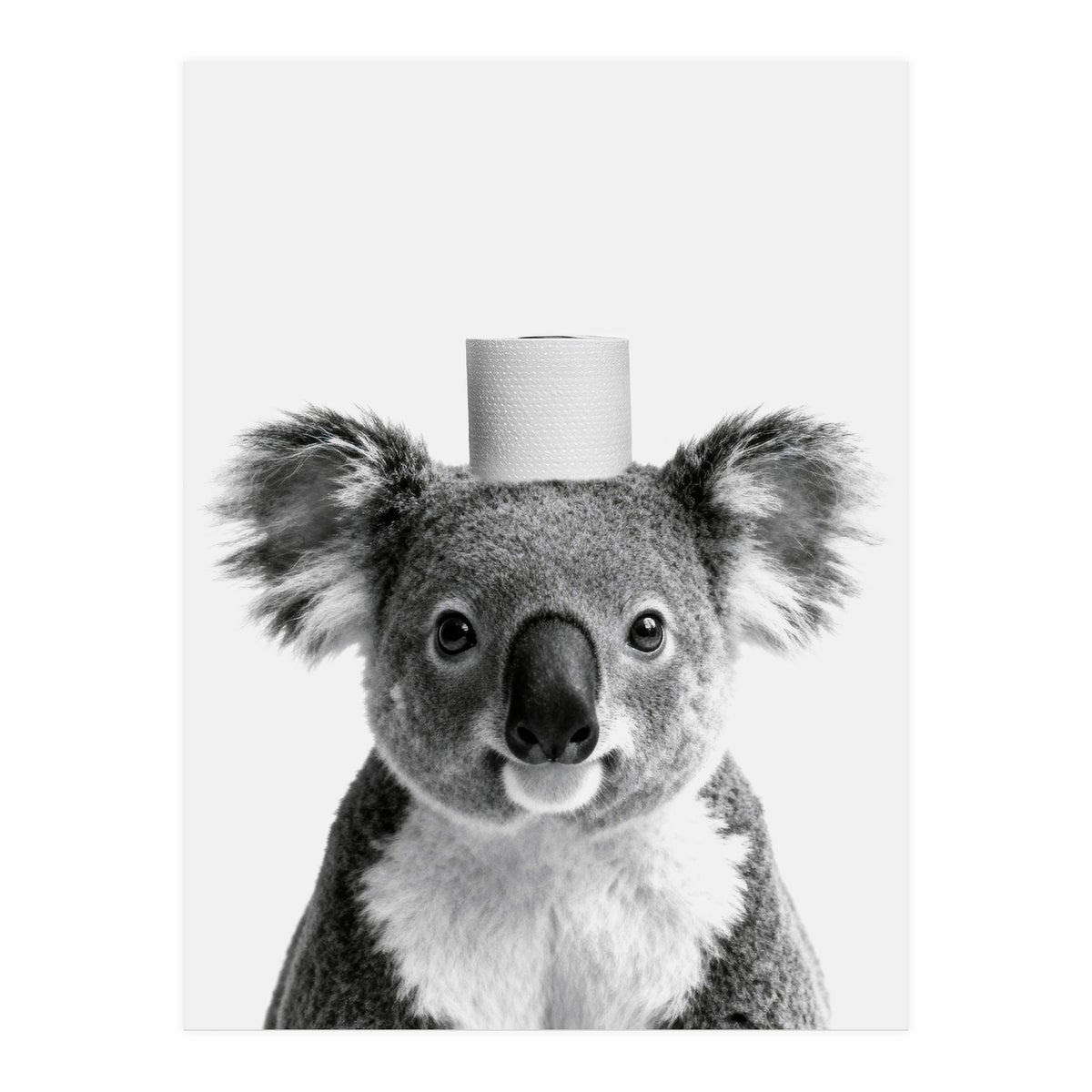 Koala, Toilet Paper Crown, Cute Animal Bathroom Art (Print Only)