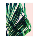 Palm V2 (Print Only) thumbnail