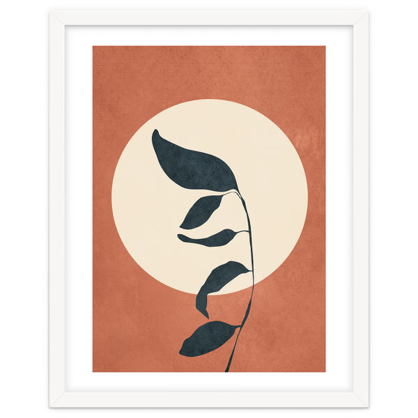 Summer Leaves
