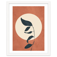Summer Leaves