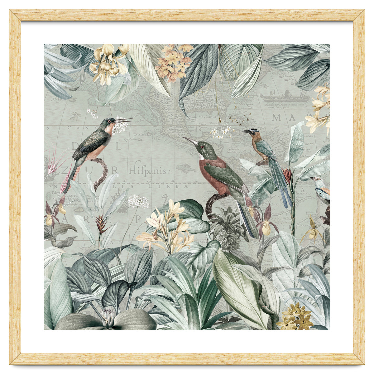 Vintage Exotic Birds Paradise Jungle