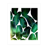 Cosmic Banana Leaves (Print Only) thumbnail