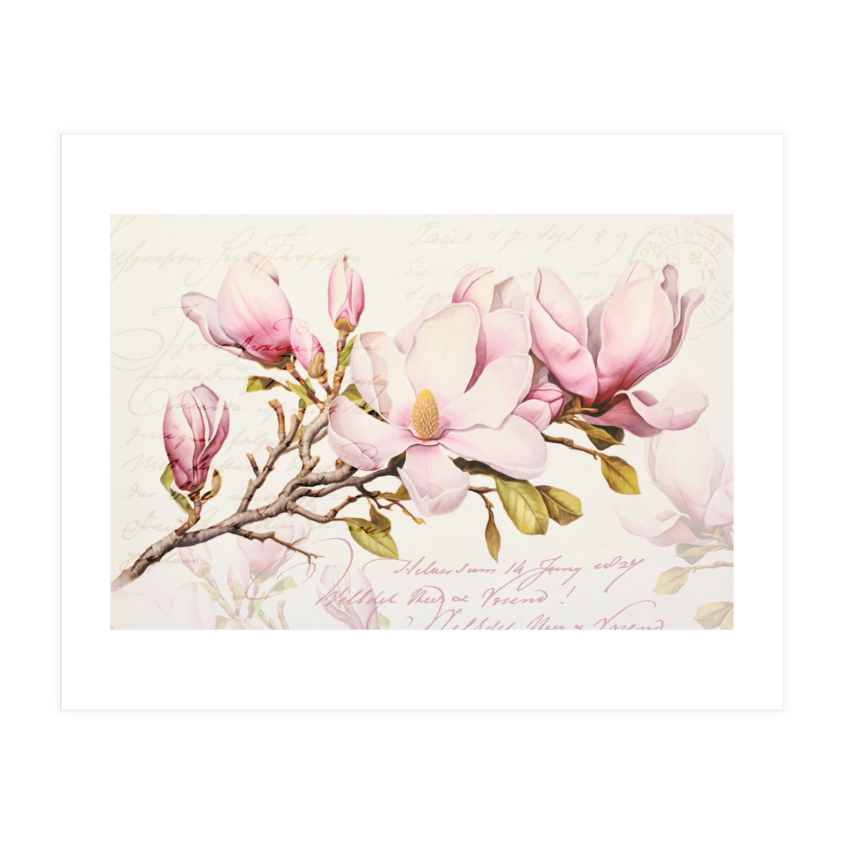Magnolia Spring Romance Pink (Print Only)