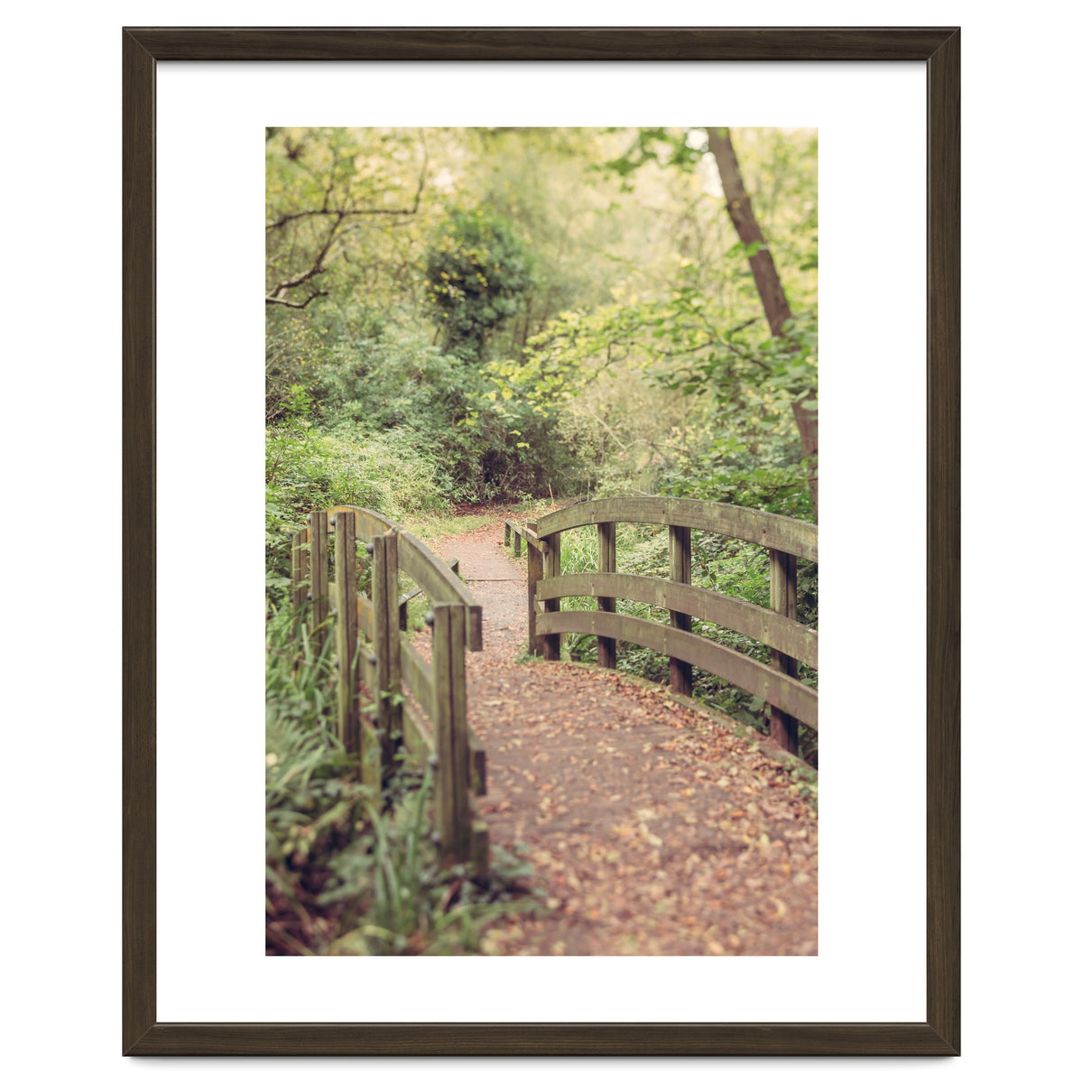 Path To The Bridge