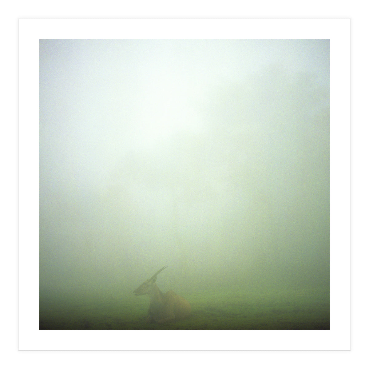 Silence of breath - 06 (Print Only)