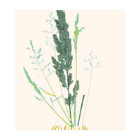 Plant based happyness Grasses 2 still life (Print Only)