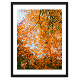 Autumn Leaves thumbnail