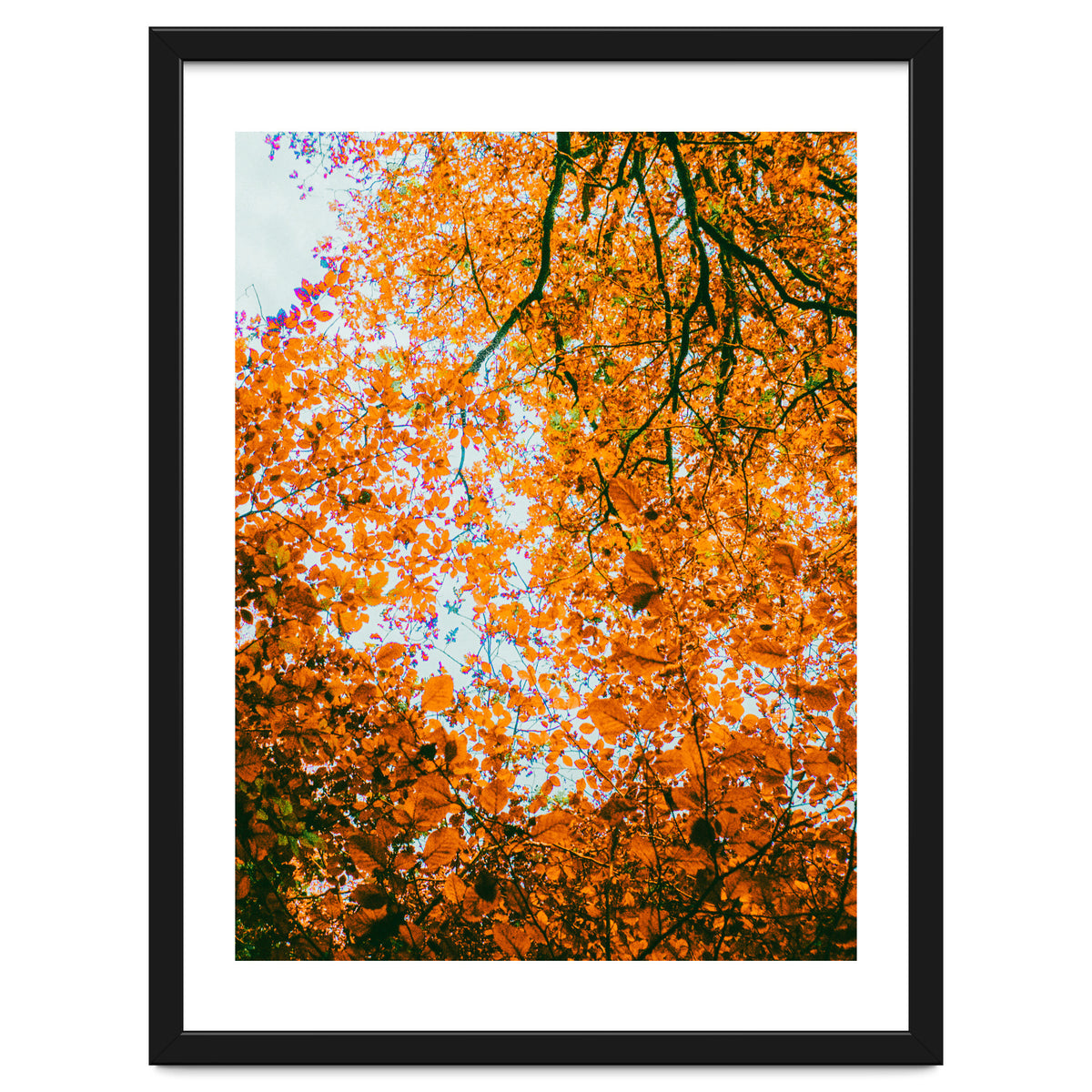 Autumn Leaves