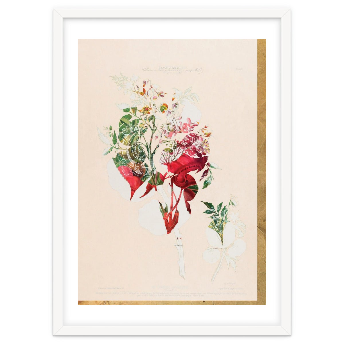 The First Plant · Aufbluehen