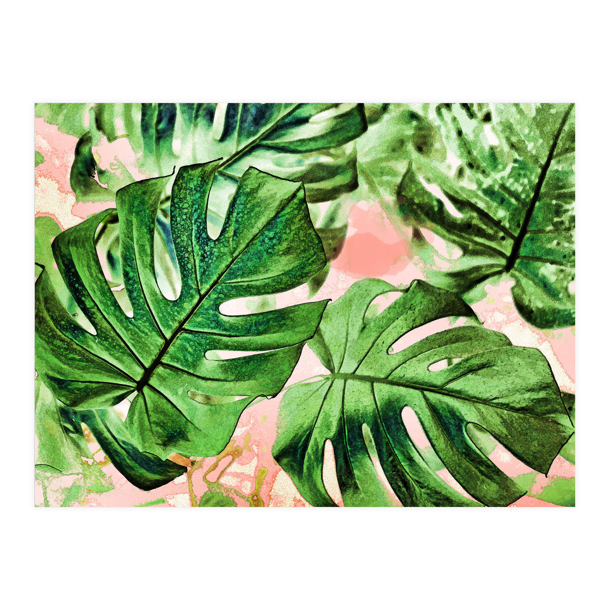 Monstera Beauty #society6 #decor #buyart (Print Only)