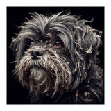 Old Dog 02 (Print Only) thumbnail
