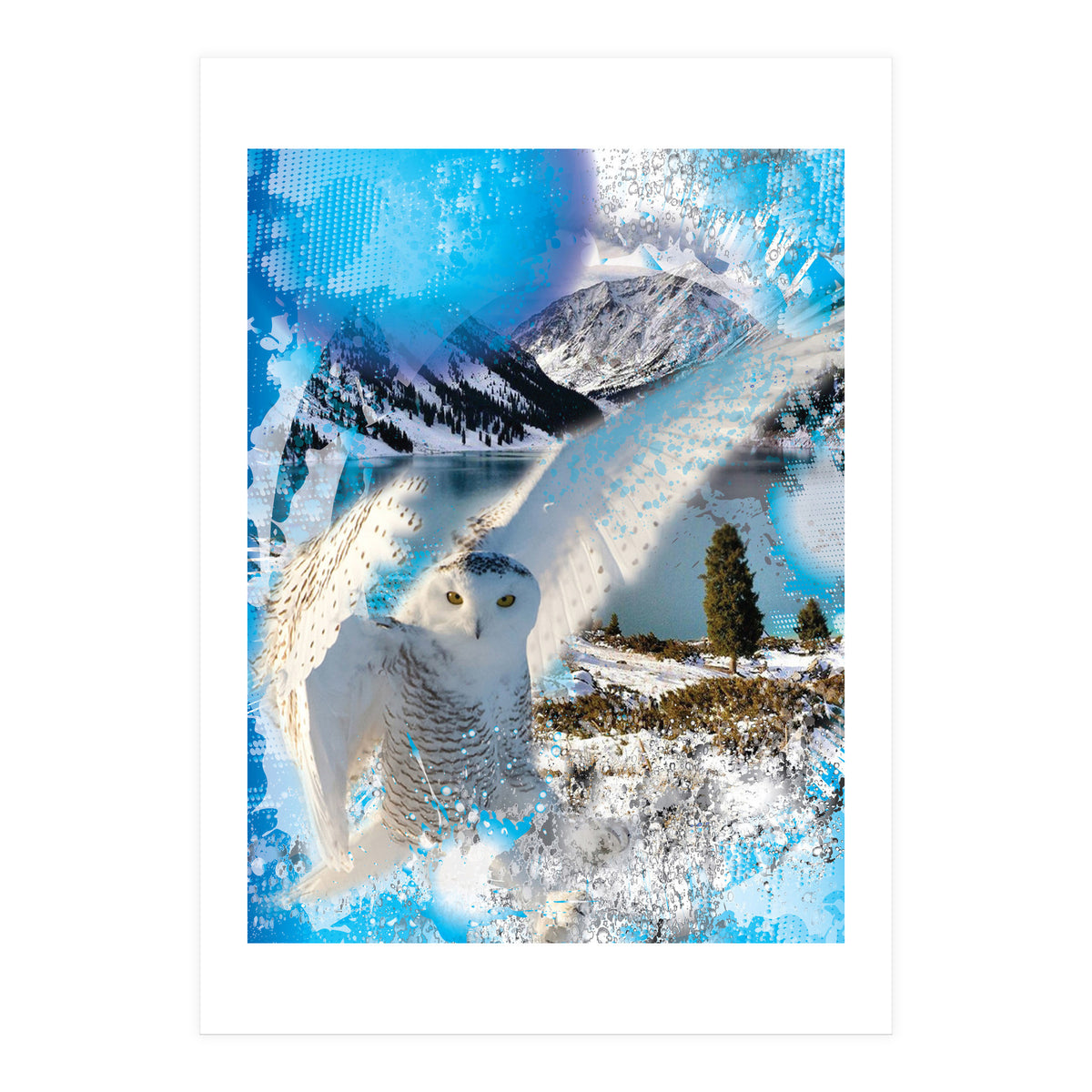 Snow Owl (Print Only)