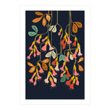 Fuchsia Flower affection (Print Only) thumbnail