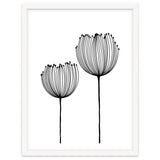 Two wildflowers thumbnail