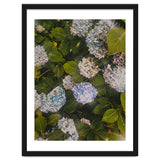 Hydrangeas | Portrait thumbnail