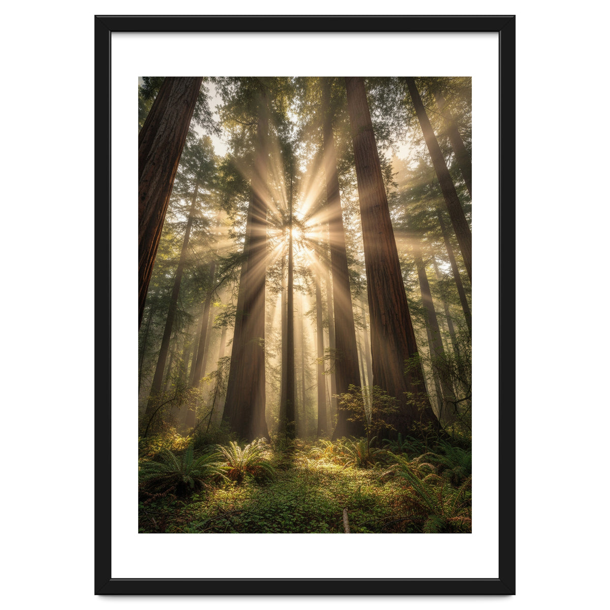 Ethereal Redwood Sanctuary: Sunbeams in the Ancient Forest
