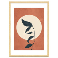 Summer Leaves