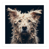 Old Dog 06 (Print Only) thumbnail