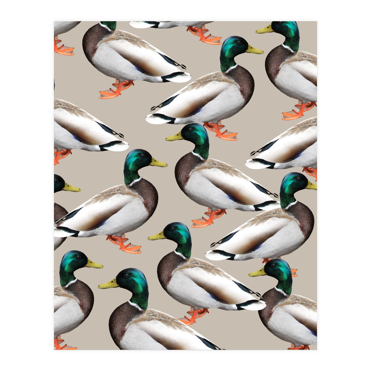 Mallards (Print Only)