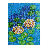 Waterlilies (Print Only) thumbnail