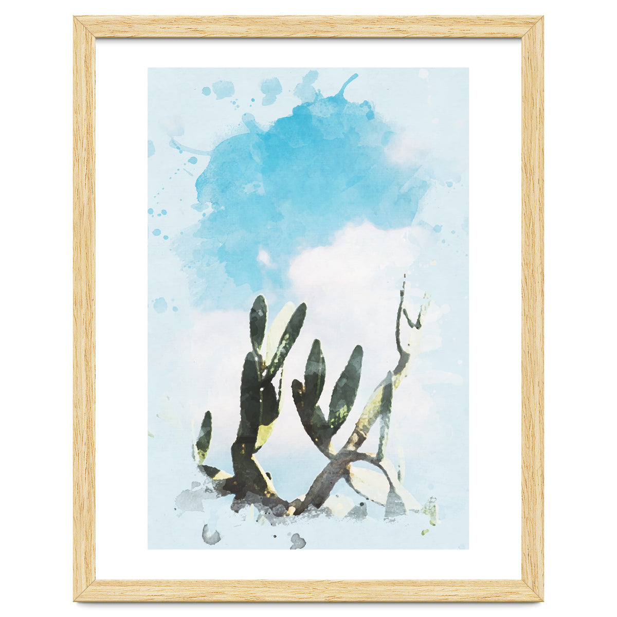 Cactus & Sky